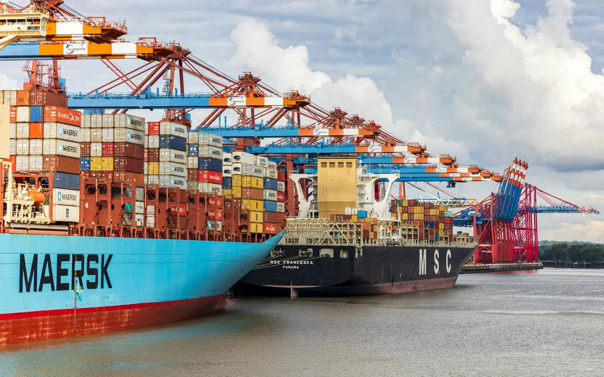Container ship and cranes at a terminal
